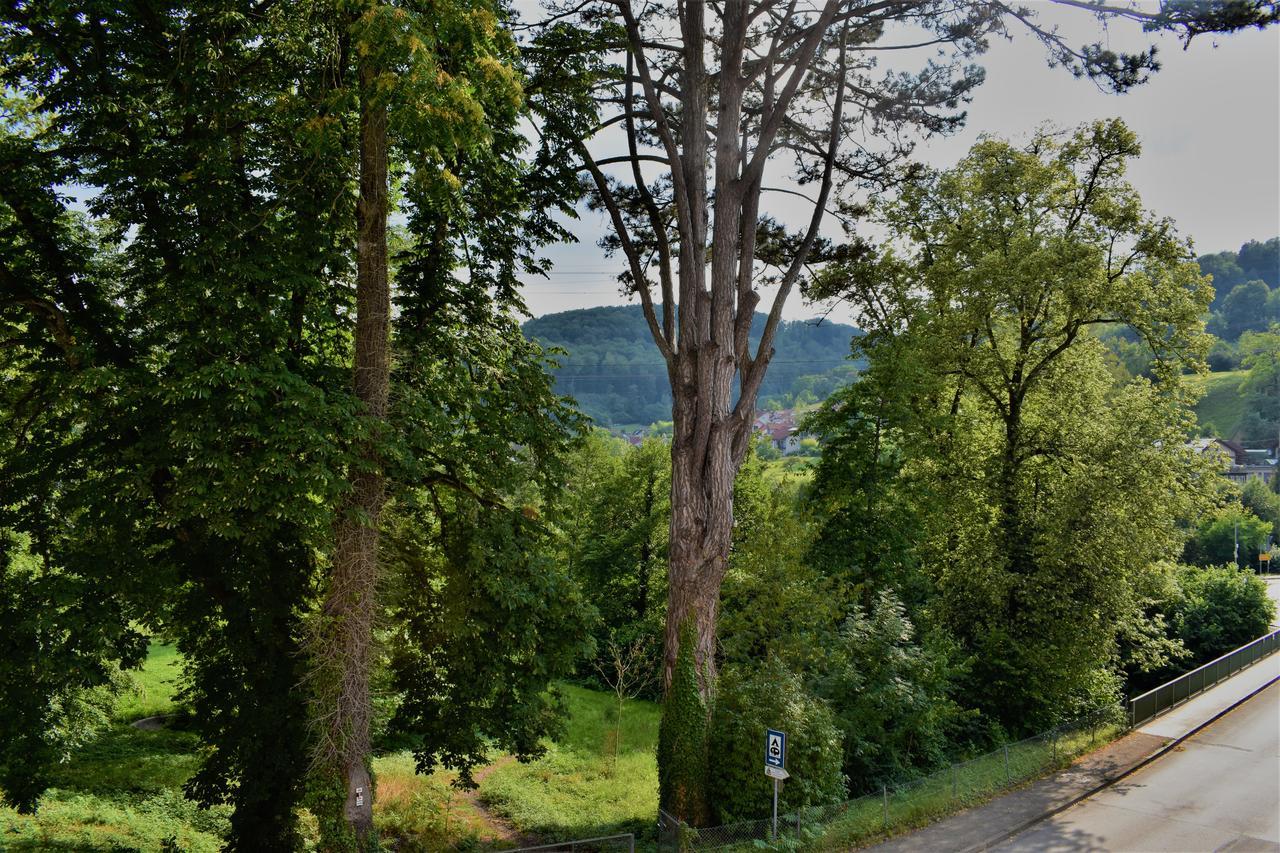 Bad Bruckhaus Erlebnishotel Waldshut-Tiengen Ngoại thất bức ảnh